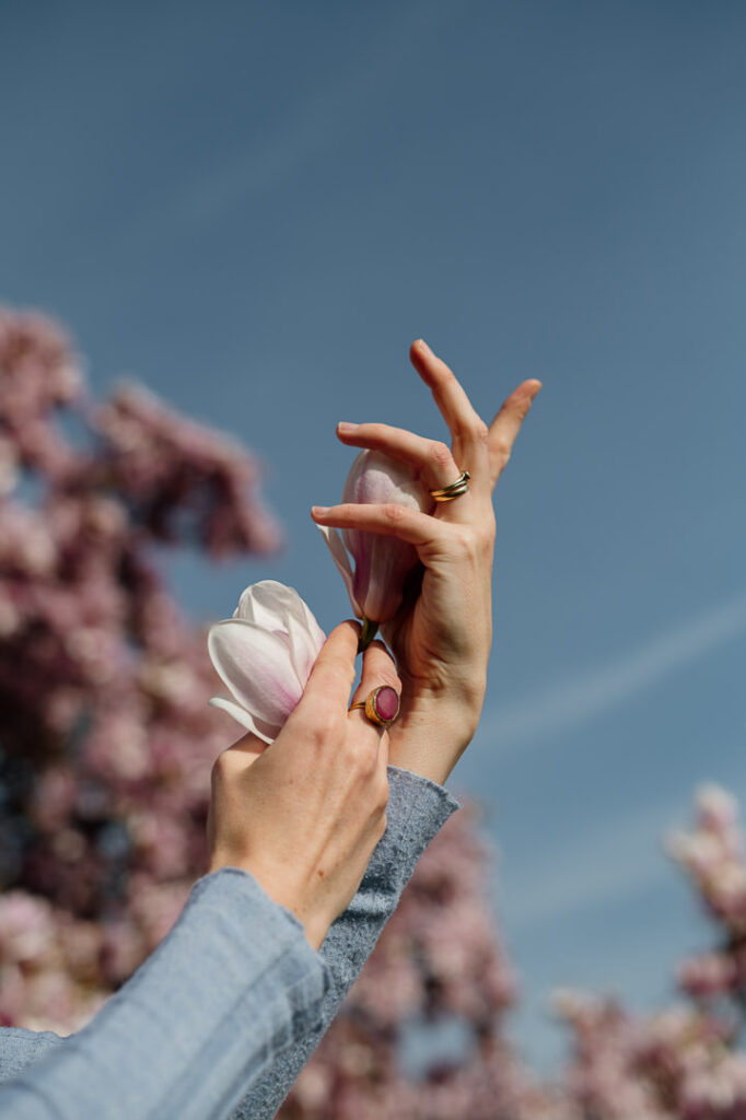 Hände die zum Himmel strecken mit Magnolien