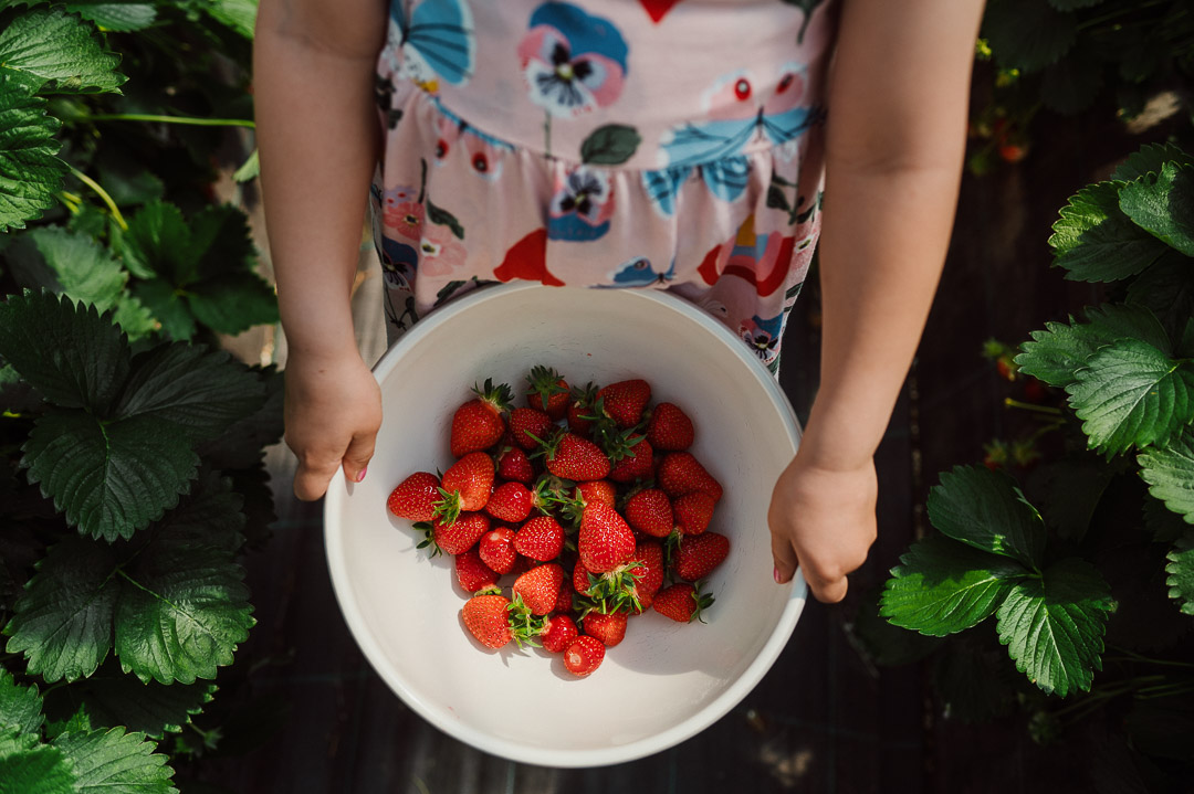 Kinderhände halten eine Schüssel mit Erdbeeren